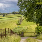 Website-Paysage -St Mary Abbey-080622-0931