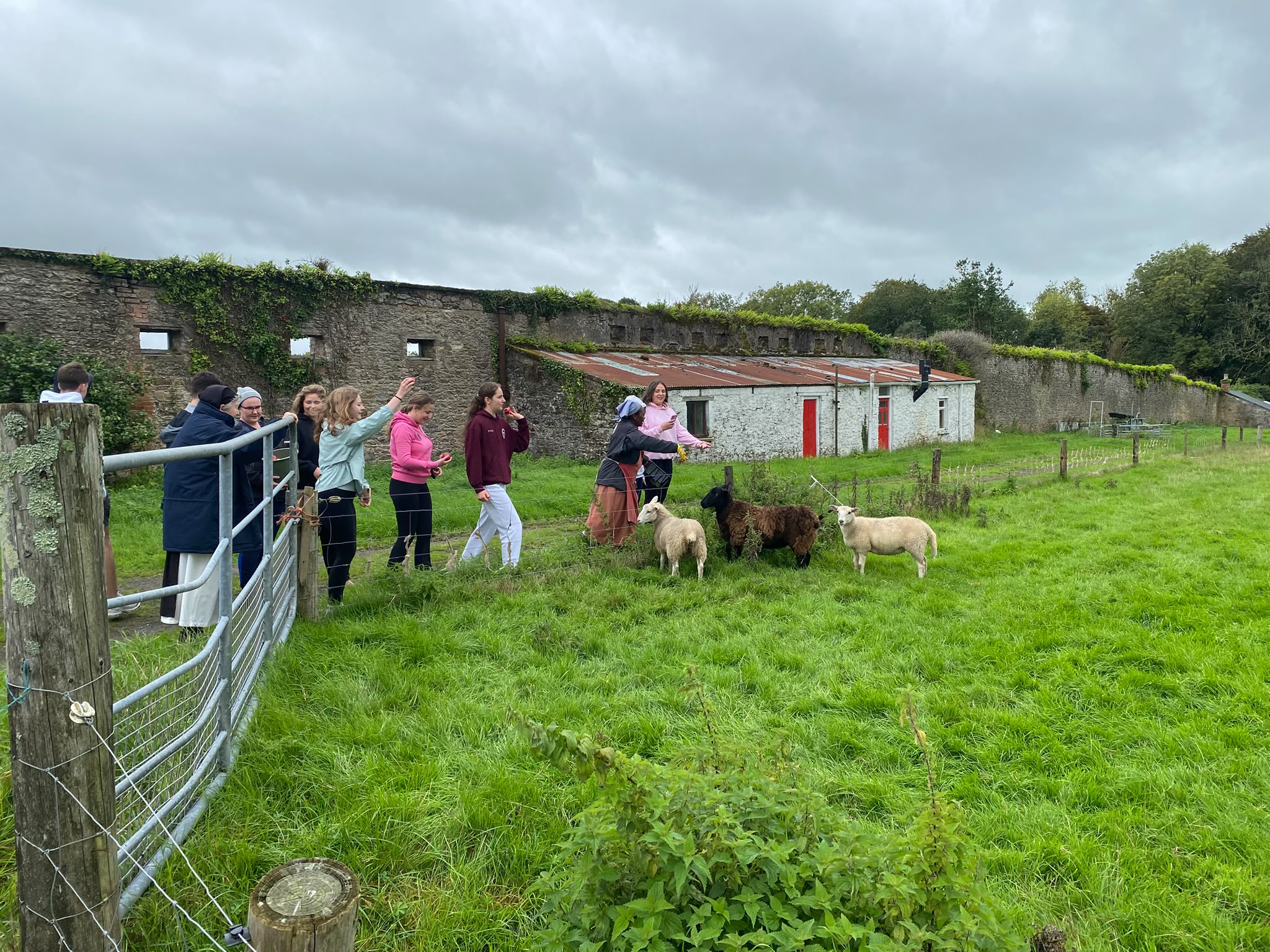 Students with the sheep and Sr Anna