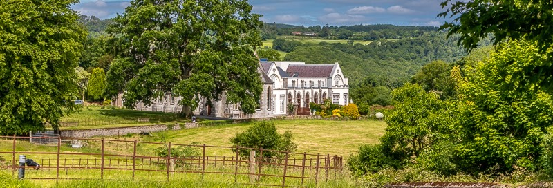 Abbey-St Mary Abbey-150622-2972